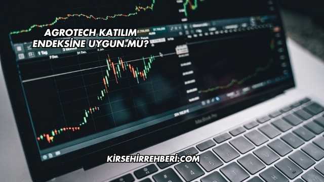 Agrotech Katılım Endeksine Uygun mu?