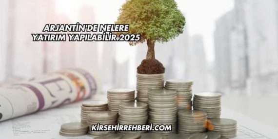 Arjantin’de Nelere Yatırım Yapılabilir 2025
