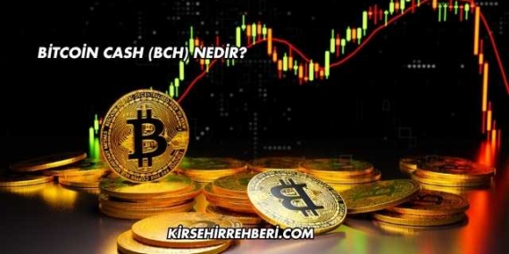 Bitcoin Cash (BCH) Nedir?