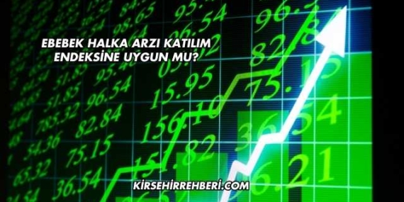 Ebebek Halka Arzı Katılım Endeksine Uygun mu?