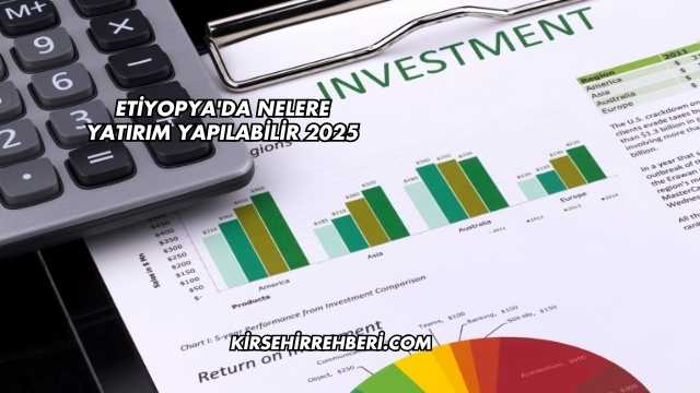Etiyopya'da Nelere Yatırım Yapılabilir 2025