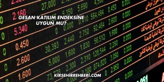 GESAN Katılım Endeksine Uygun mu?