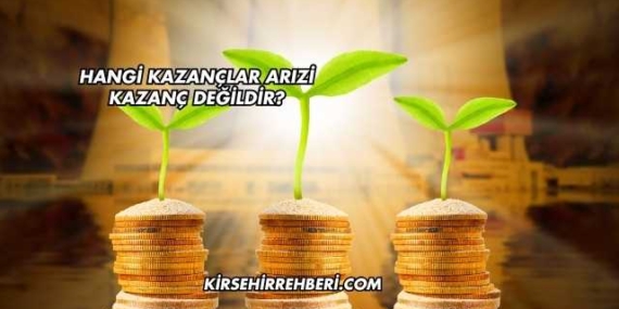 Hangi Kazançlar Arızi Kazanç Değildir?