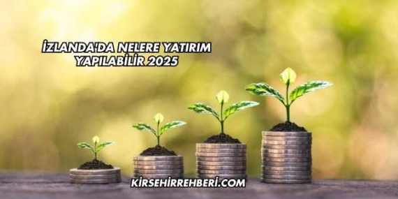 İzlanda’da Nelere Yatırım Yapılabilir 2025