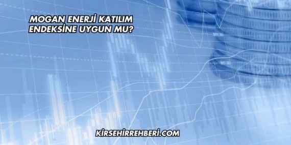 Mogan Enerji Katılım Endeksine Uygun mu?
