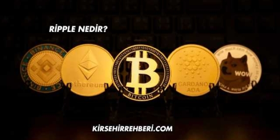 Ripple Nedir?