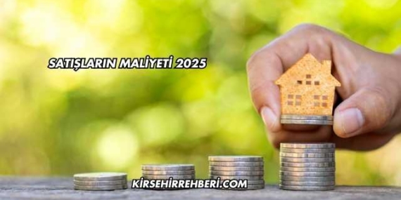 Satışların Maliyeti 2025