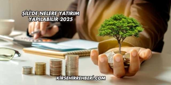 Şili’de Nelere Yatırım Yapılabilir 2025