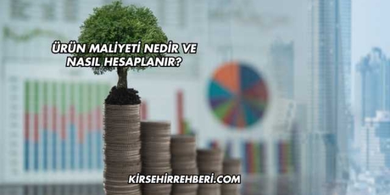 Ürün Maliyeti Nedir ve Nasıl Hesaplanır?