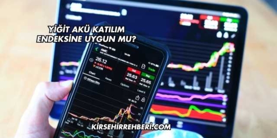 Yiğit Akü Katılım Endeksine Uygun mu?