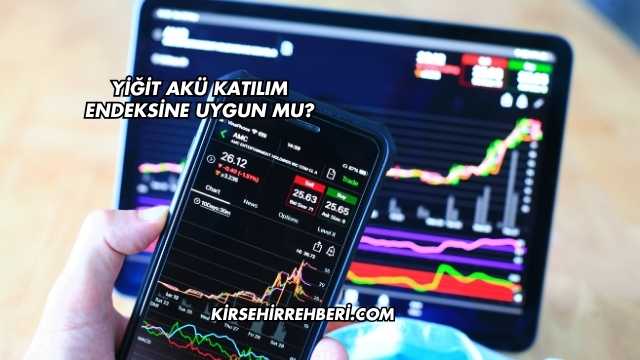 Yiğit Akü Katılım Endeksine Uygun mu?