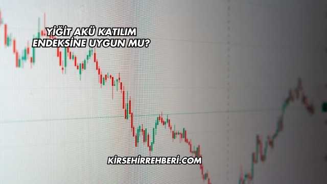 Yiğit Akü Katılım Endeksine Uygun mu?