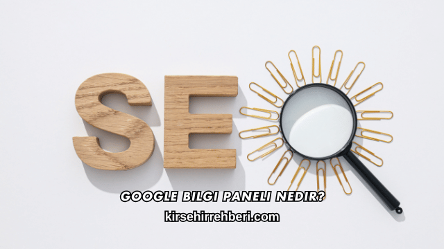 Google Bilgi Paneli Nedir?