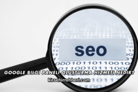 Google Bilgi Paneli Oluşturma Hizmeti Nedir?
